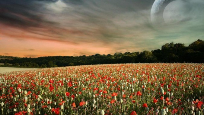 为什么说Mac编程是种享受？